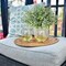 8-Pack Artificial Greenery Stems – Fake Eucalyptus and Boxwood Plants for Farmhouse, Bathroom, Office, Vase Centerpiece, Indoor & Outdoor Decoration (Dusty Green)